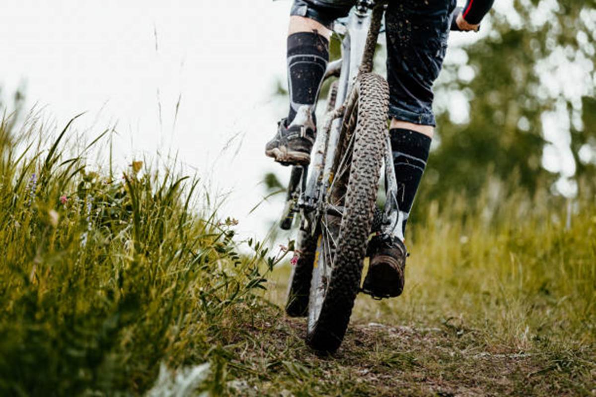 istockphoto-812498388-612x612