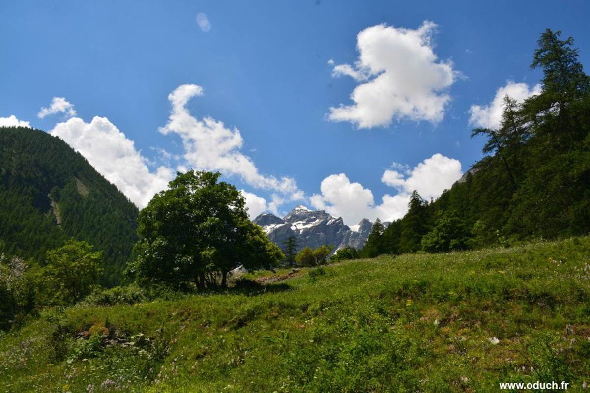 les grangettes