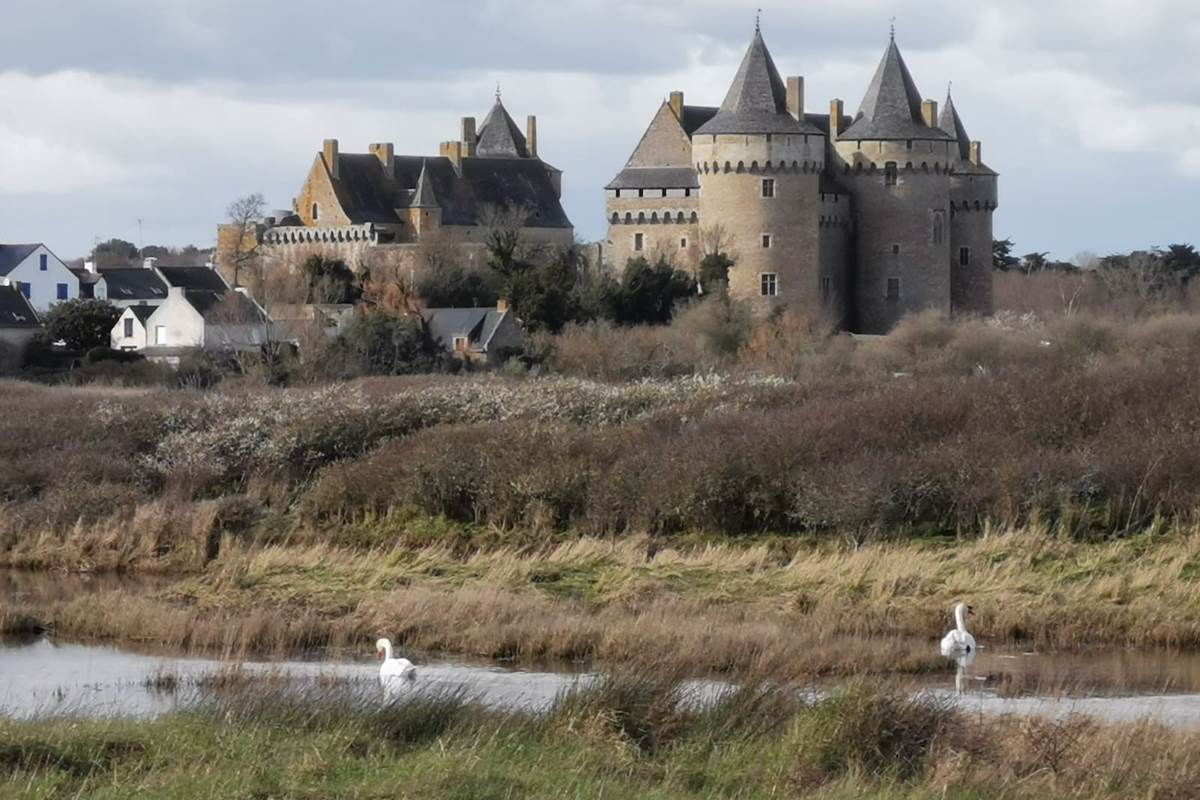 visite château de suscinio chambre d'hôtes la rose des vents domaine de kerizel maison d'hôtes spa séjour bien être repos ressourcement anti stress burn out cure ayurvédique retraite relaxation