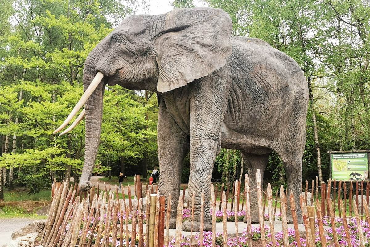 Une journée au Monde Sauvage d'Aywaille. Un vrai plaisir