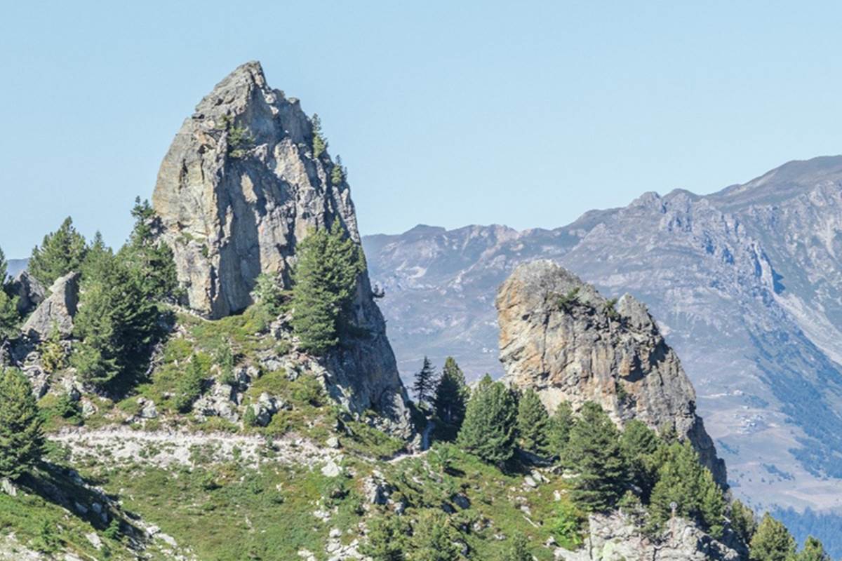 signal-des-tetes