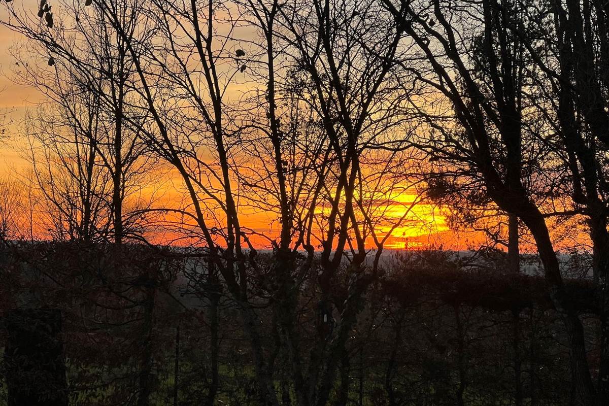 Un coucher de soleil à l'Olivianne