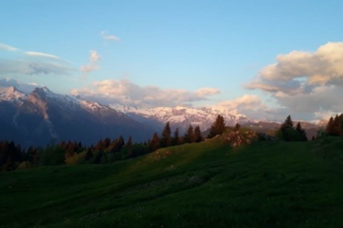 agy panoramique