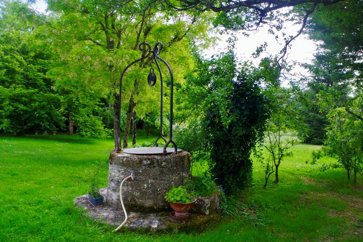 6918AA42-08E0-4B29-93BA-4A8BFA91F294_1_105_c