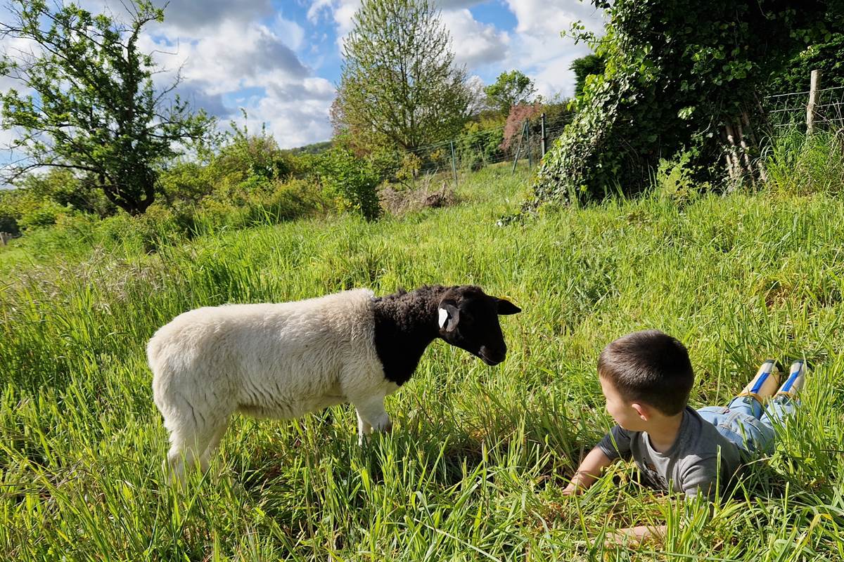 Gîte champêtre avec vue dégagée sur la campagne de Touraine, calme et authenticité au rendez-vous