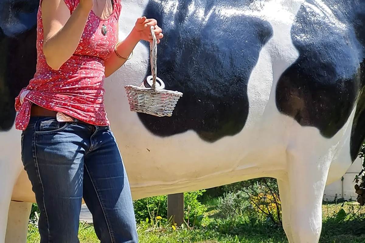 Visite petit marché du glacier, ferme des délices foréziens