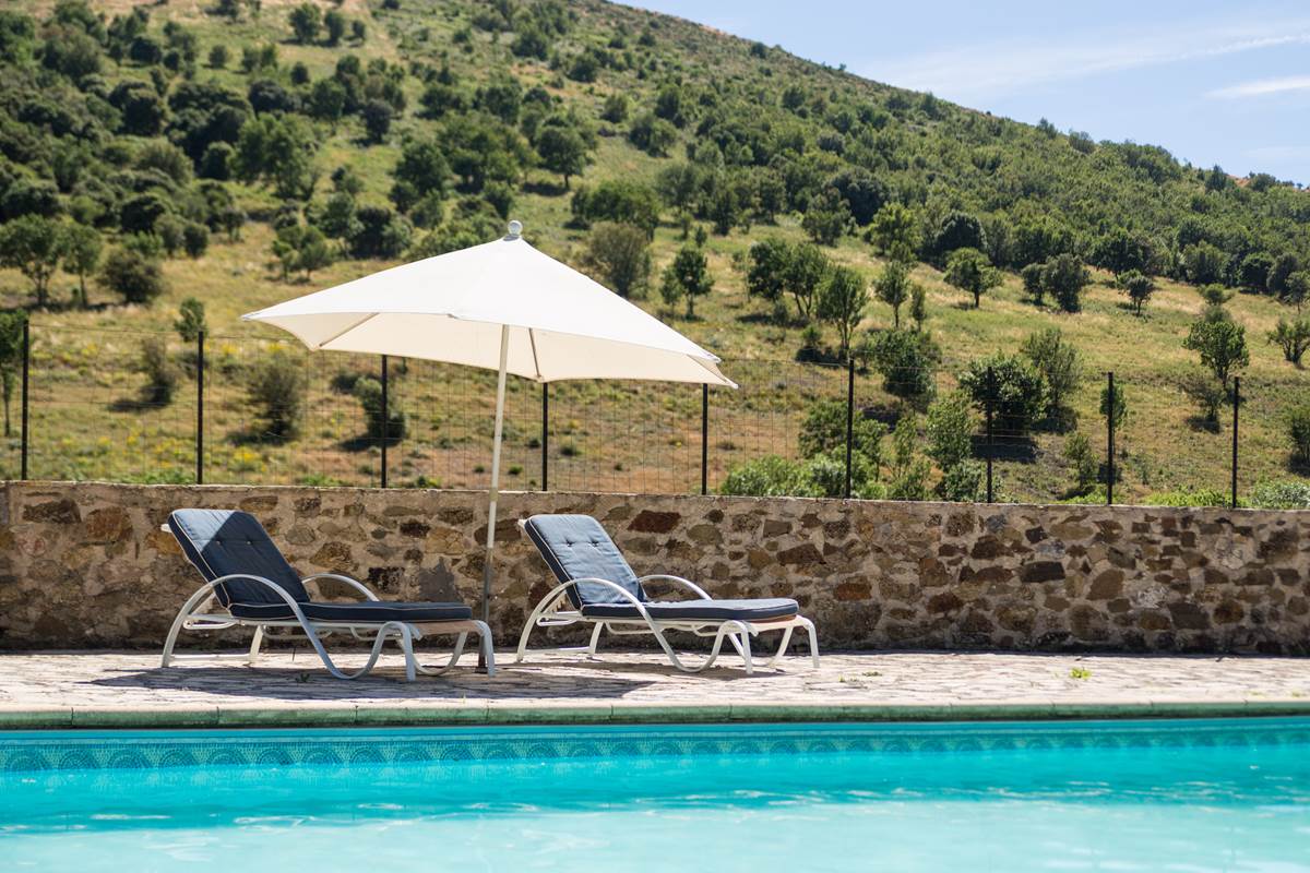 La piscine dans un cadre calme, avec transats et grande terrasse