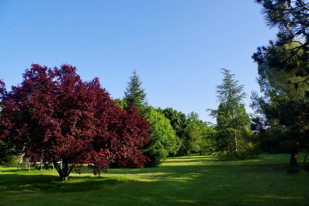 DA3BE276-3429-4C90-814D-D0AAB3F46D02_1_105_c