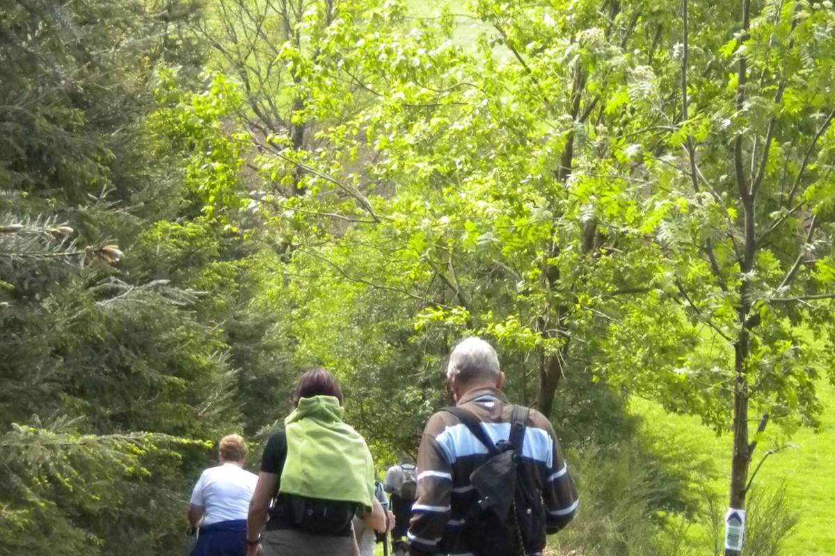 Terre de randonnée pour les marcheurs et VTT