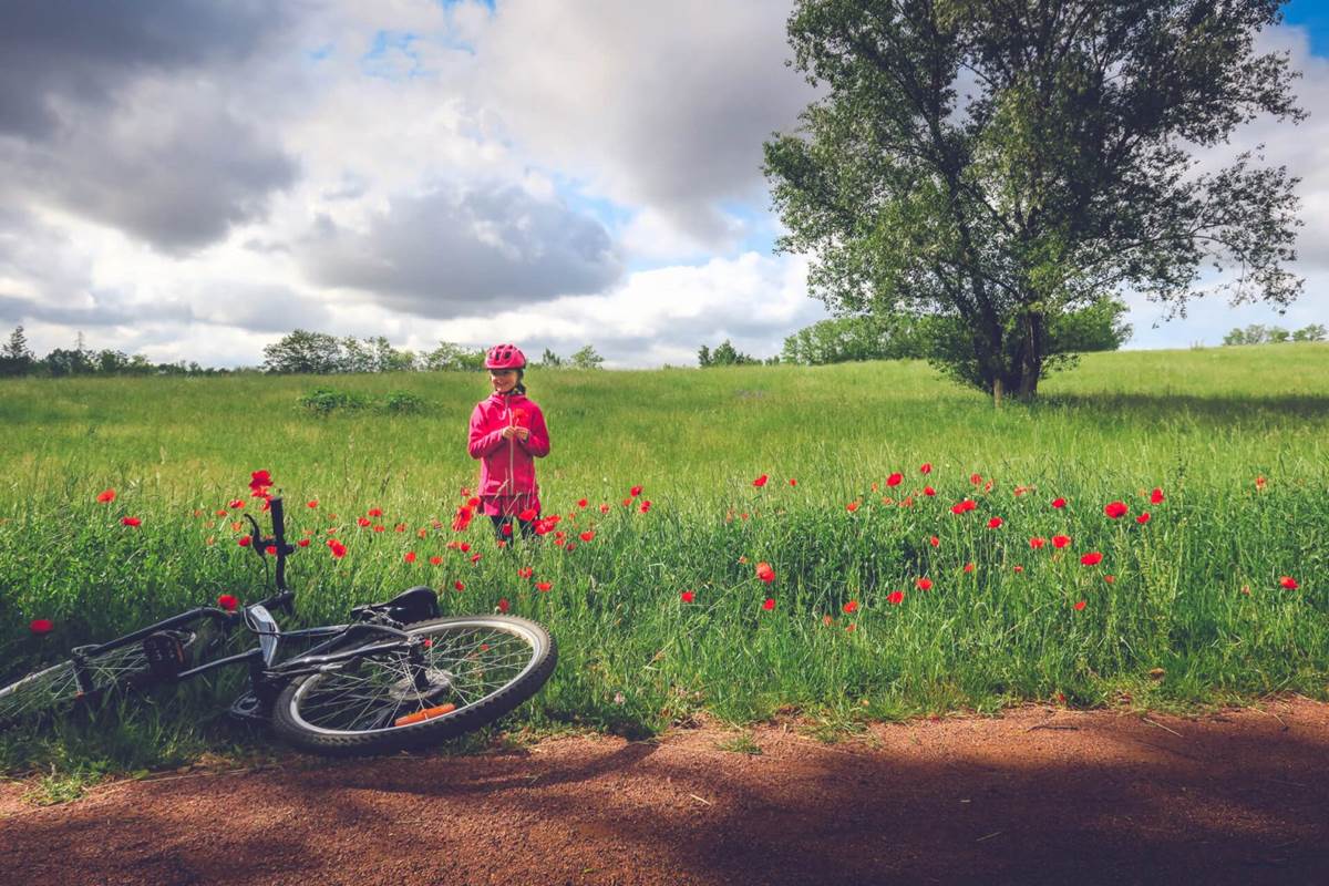 Pause sur la véloire dans un champ de coquelicots © Max-Les Zed - RT