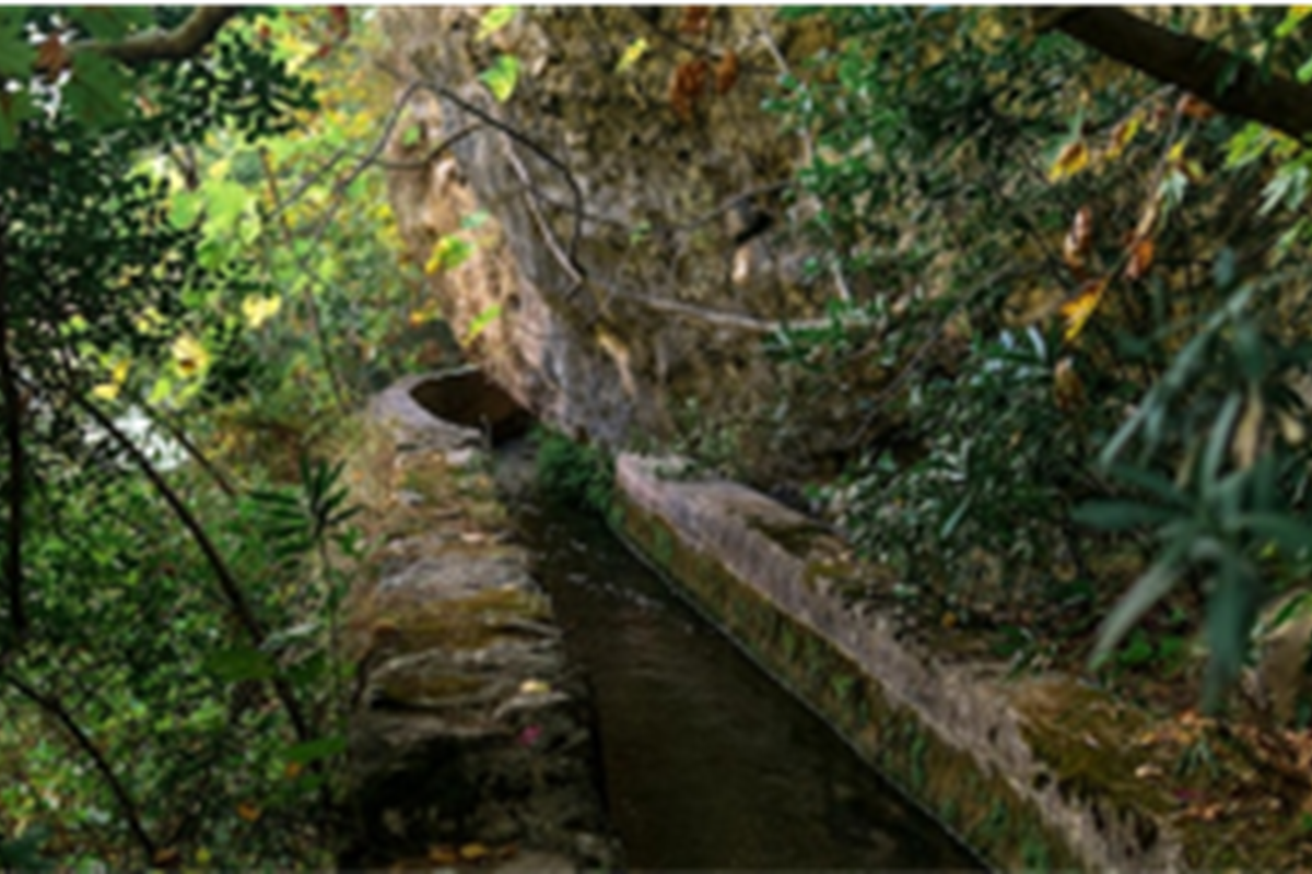 Image3