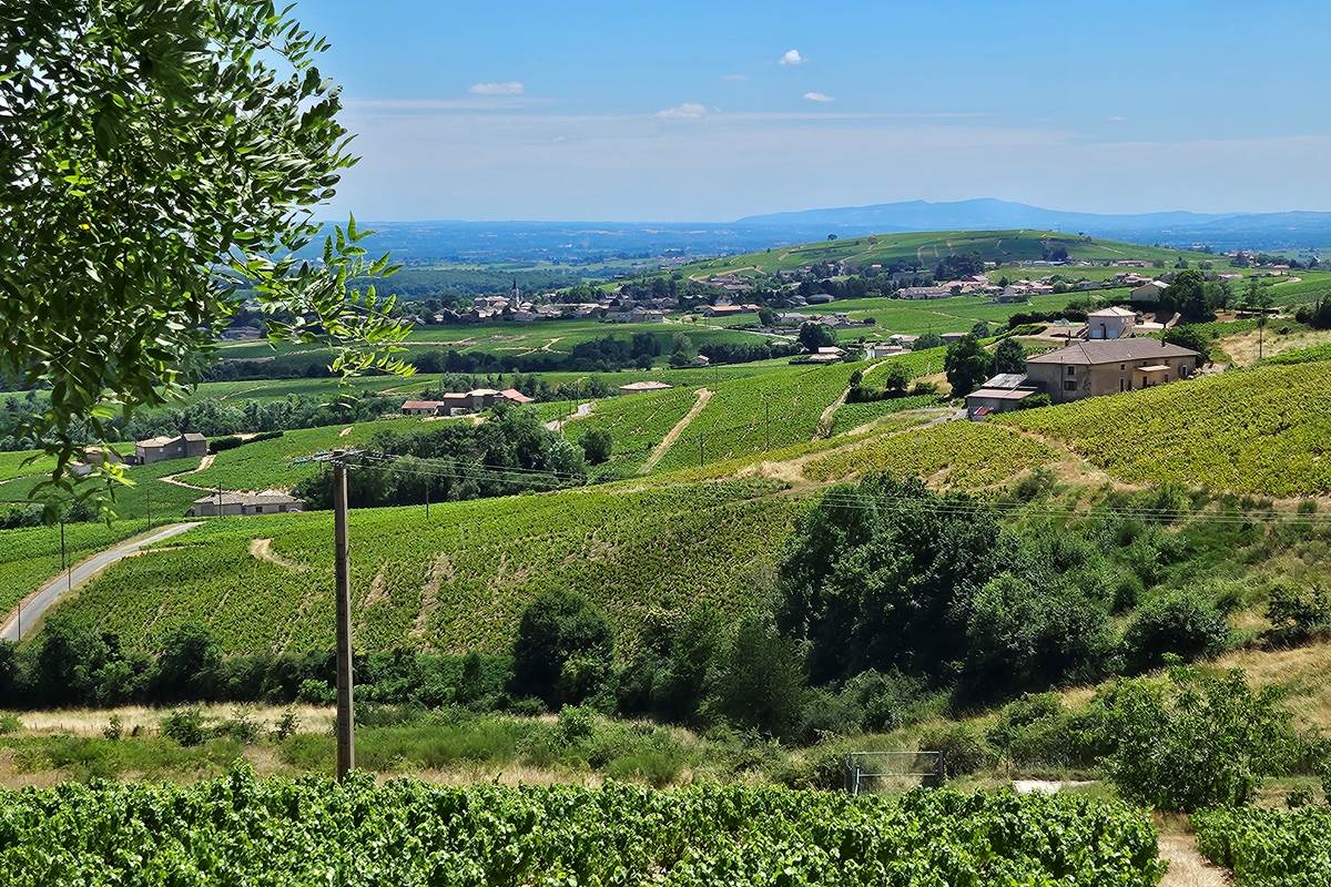 Vue panoramique