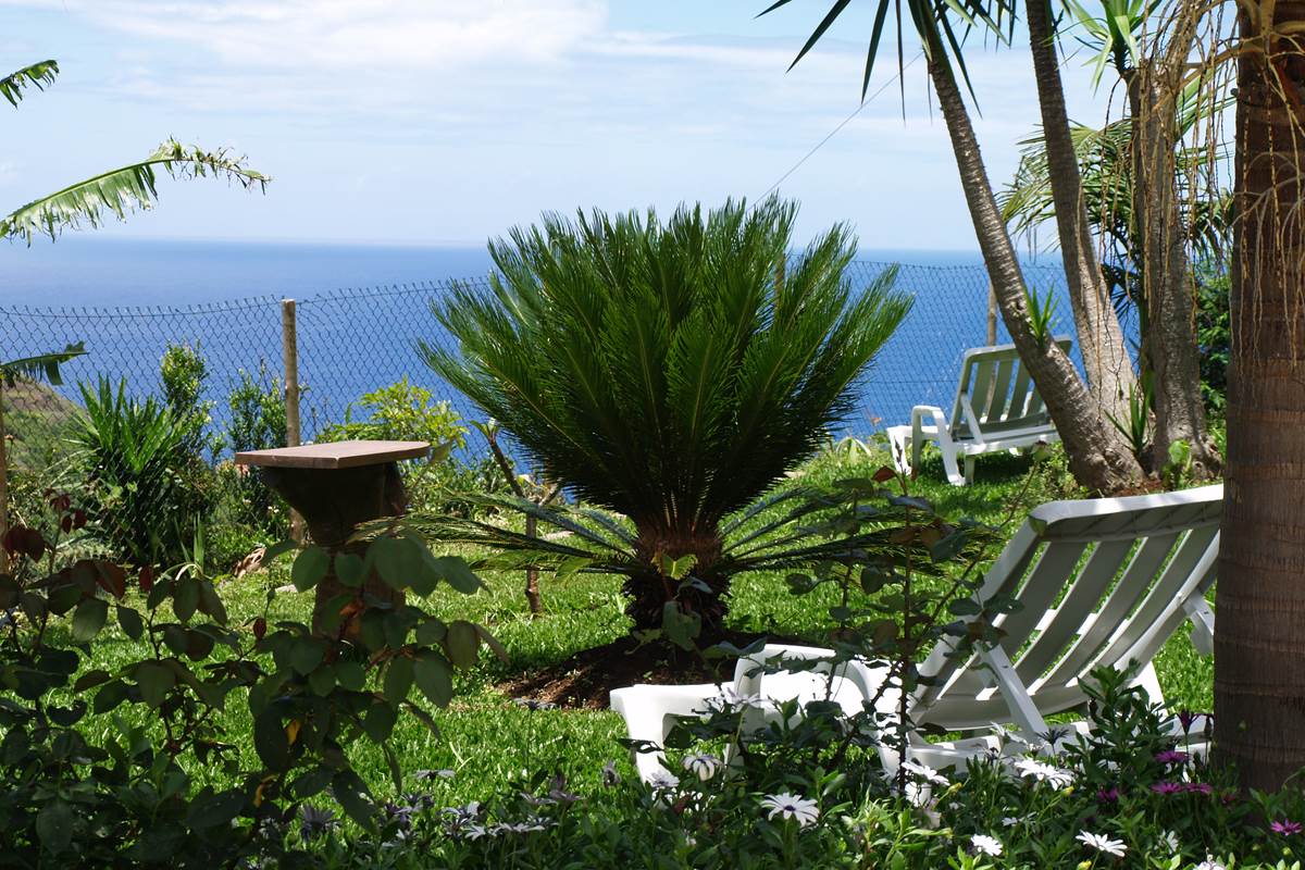 Fond du jardin vue mer - Sea view garden background