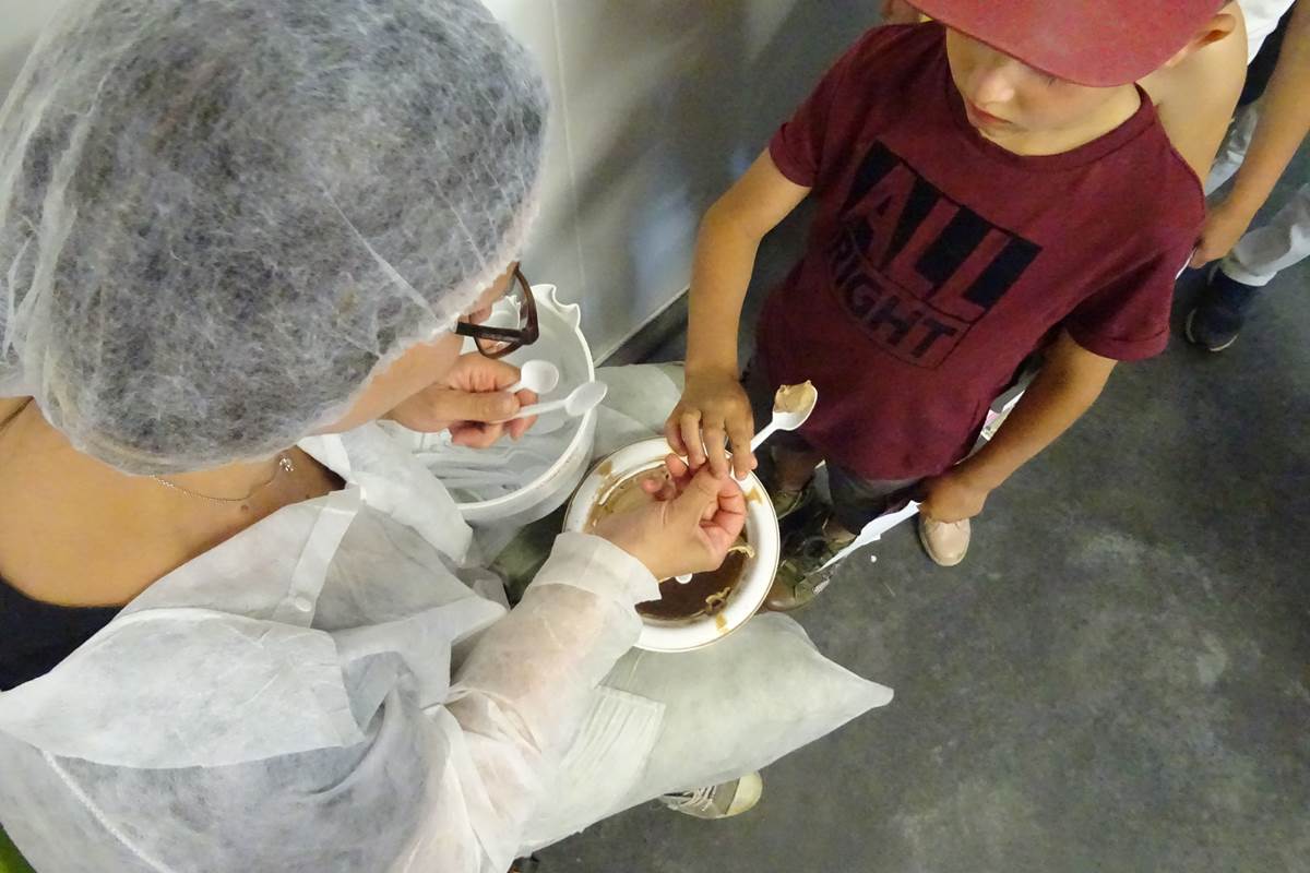visite petit marché du glacier, degustation sorbetière