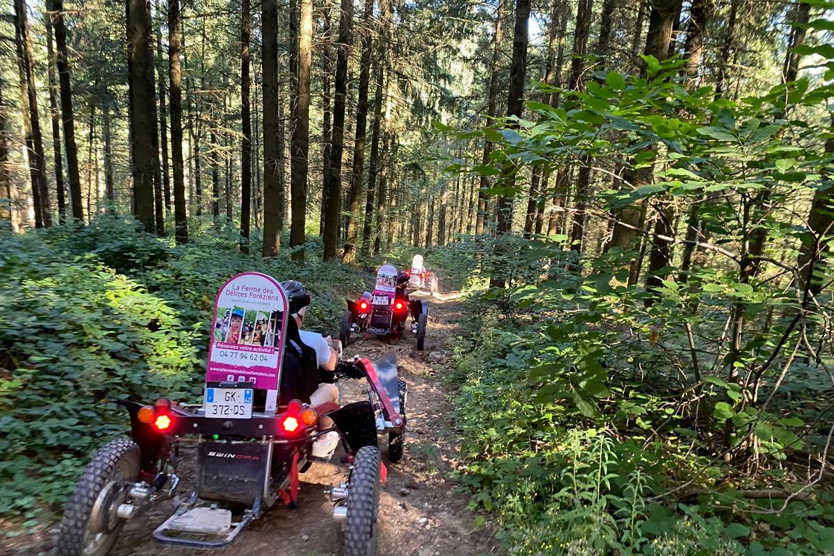 swincar - découvrez les chemins forestiers sans bruits grâce aux moteurs électriques