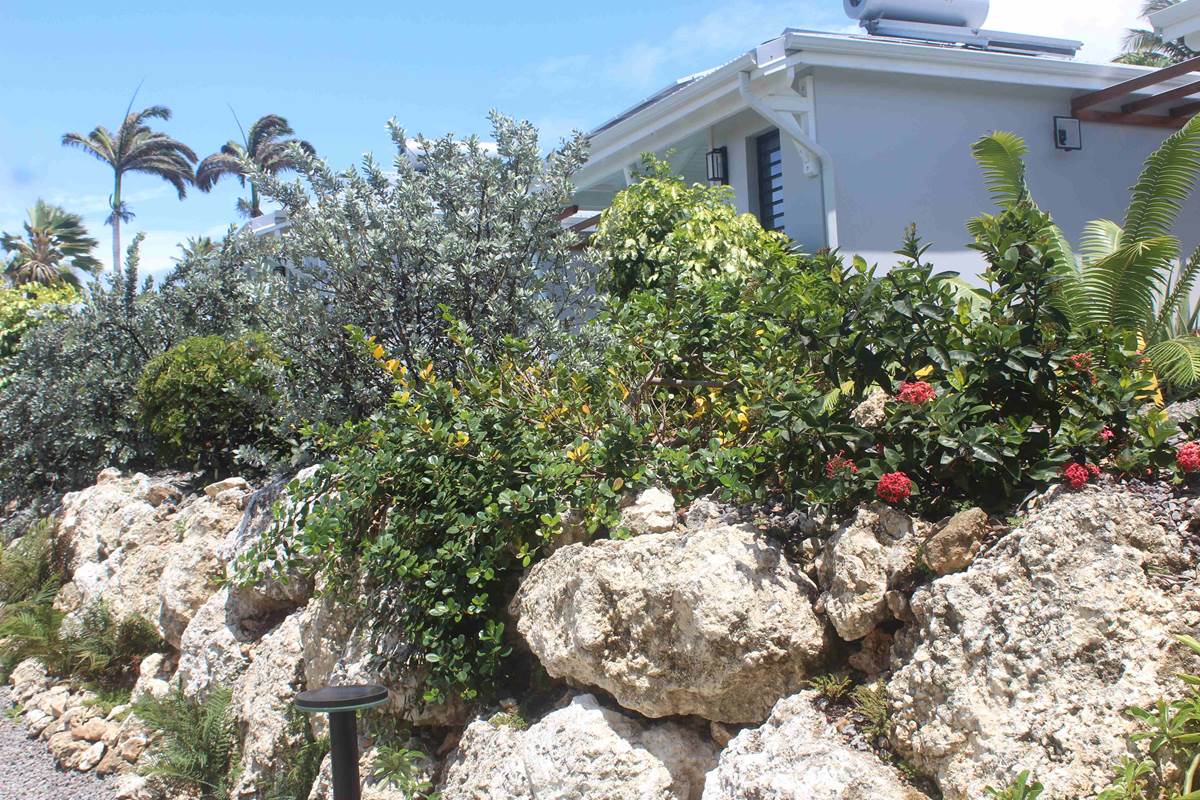 Iguane House villas & Micro Spa Villa Mangrove vue depuis le parking