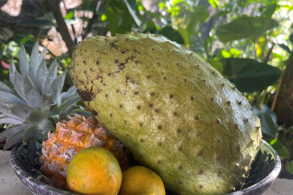 Petit déjeuner à base fruits frais du jardin