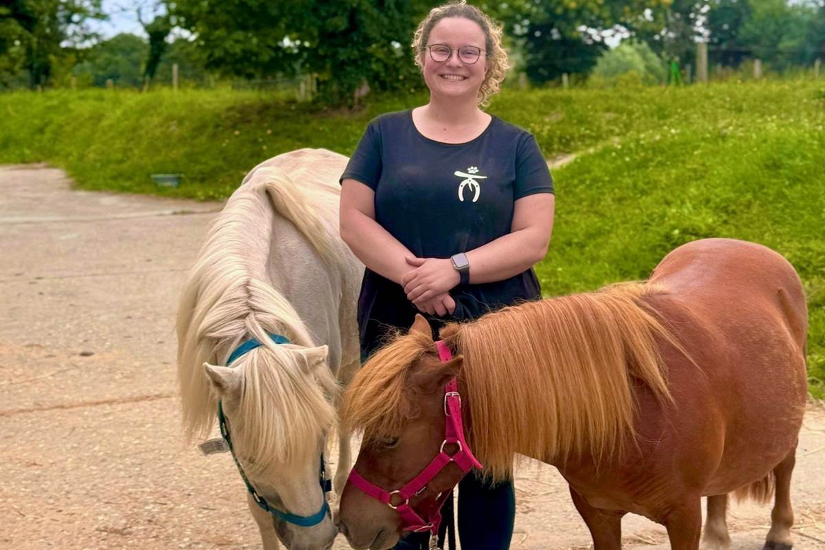 Partenariat avec Claire pour une séance de thérapie animale ( contacter l'association)