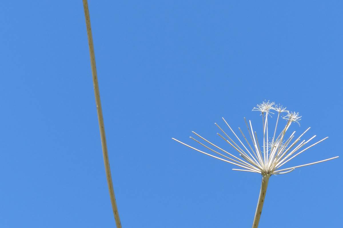 P1210087