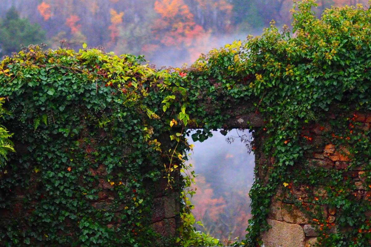 Vue d'Automne, depuis le "Jardin de la Cure", juste sous les Gîtes "Le Chant des Sources", à Gimel-les-Cascades (19).