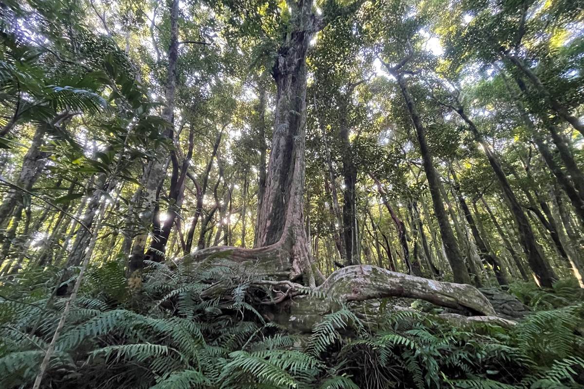 Petite marche à la forêt Marle Longue
