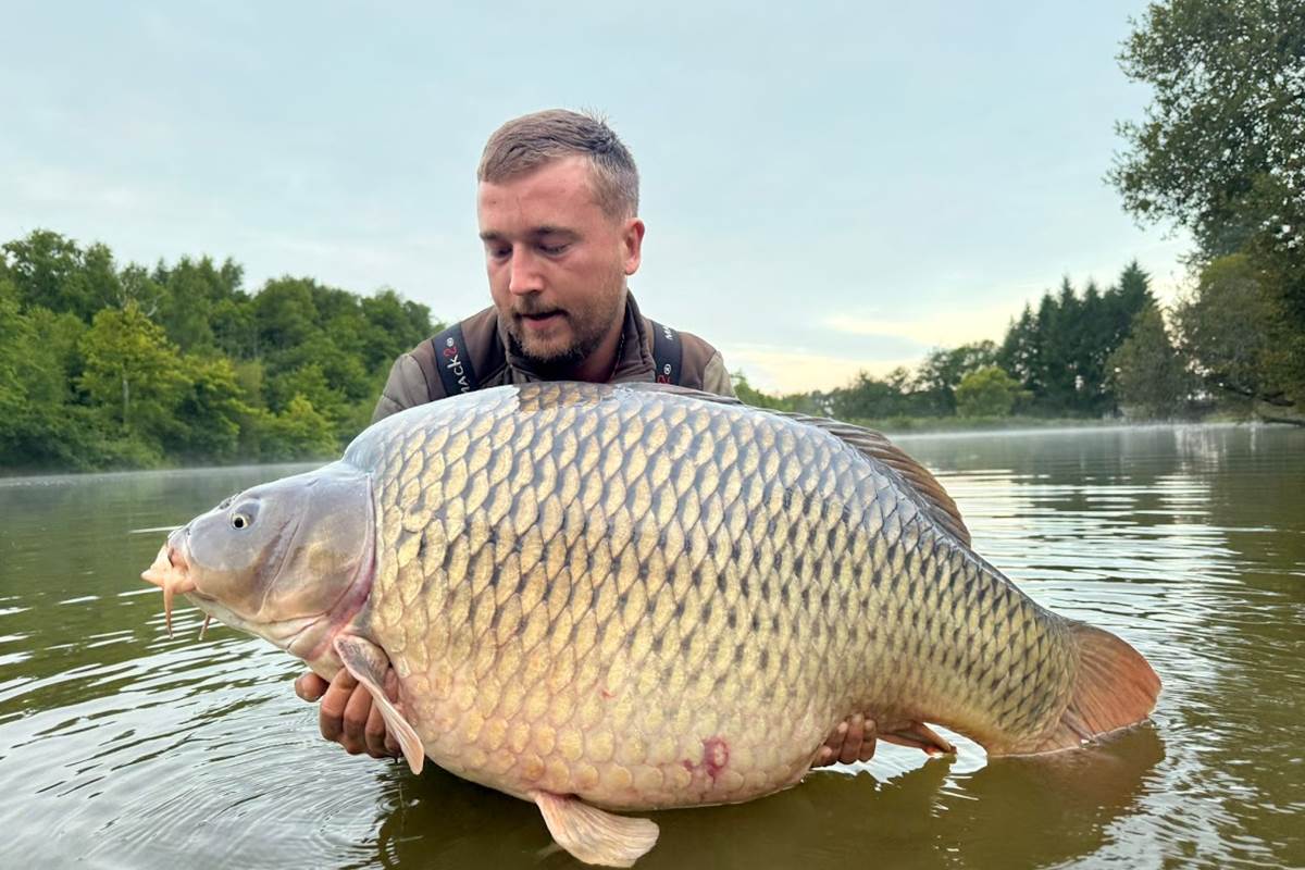 big commune puyregonde