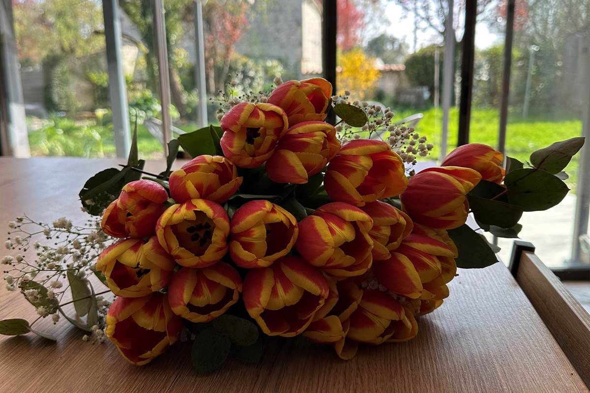 Cuisine_tulipes_vue jardin_La Grande Cavalerie