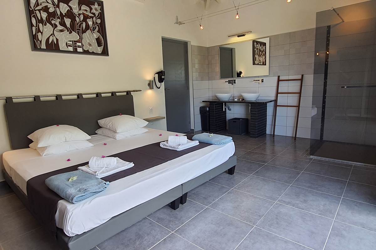 Suite et sa salle de douche
