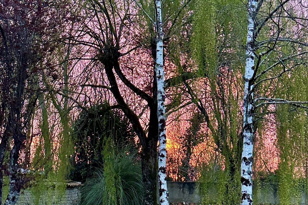 Jardin sud coucher de soleil_La Cavalerie