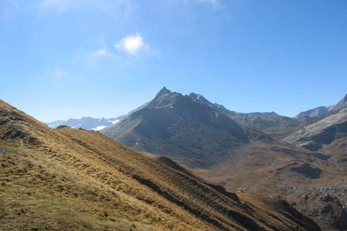 Crête arselle