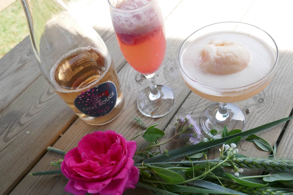 cocktail glacé agamy délices foreziens