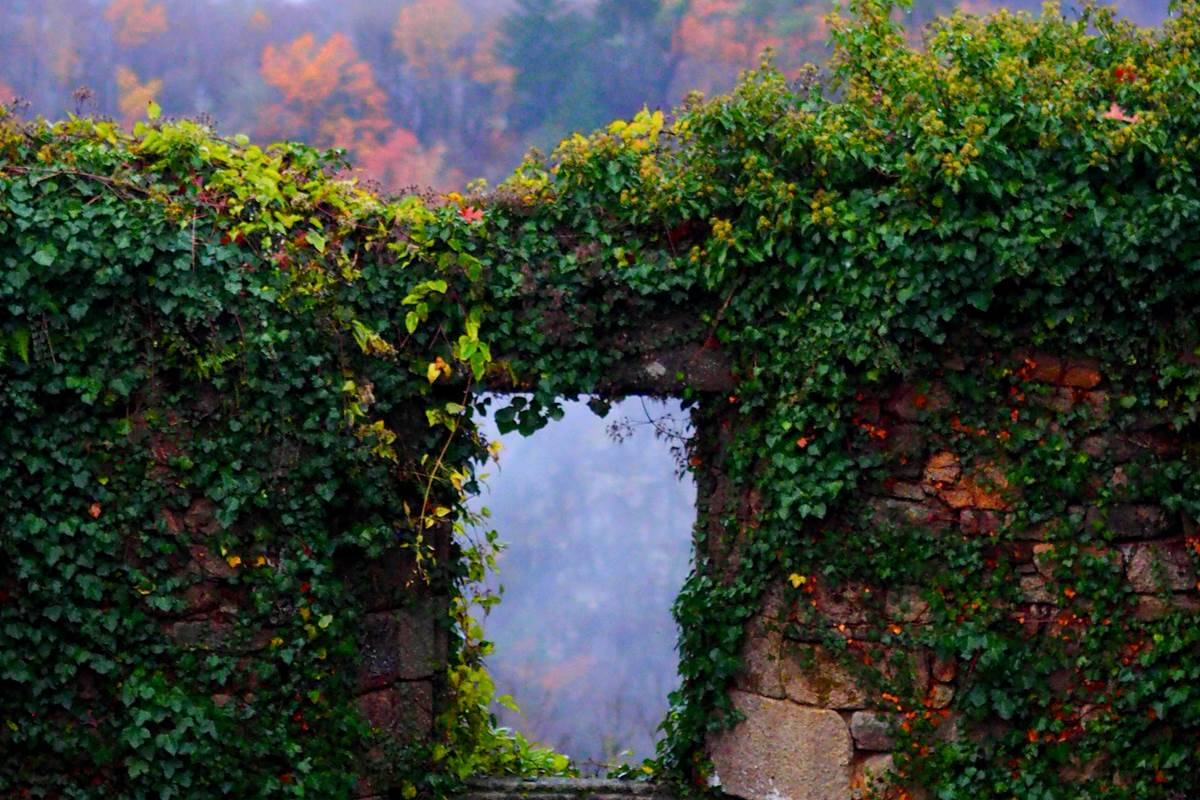 Vue d'Automne, depuis le "Jardin de la Cure", juste sous les Gîtes "Le Chant des Sources", à Gimel-les-Cascades (19).