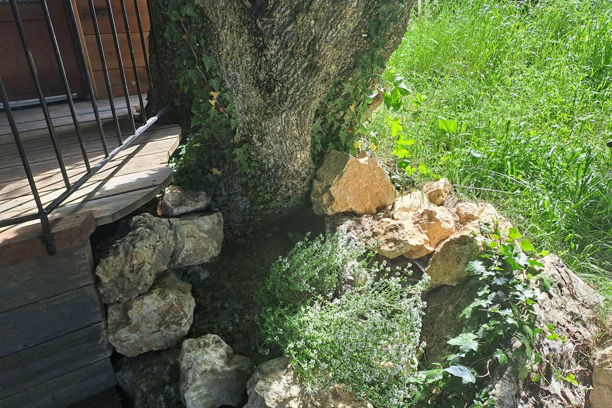 Des plantes aromatiques plantées juste pour vos petite popottes ! :)