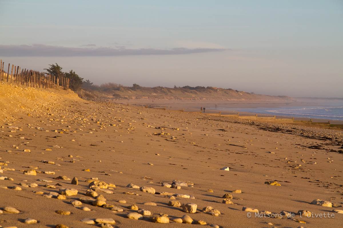 plage_re´_automne