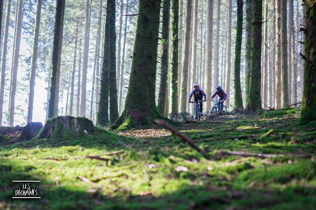 Singletracks Bike Park formule descente navette à la journée