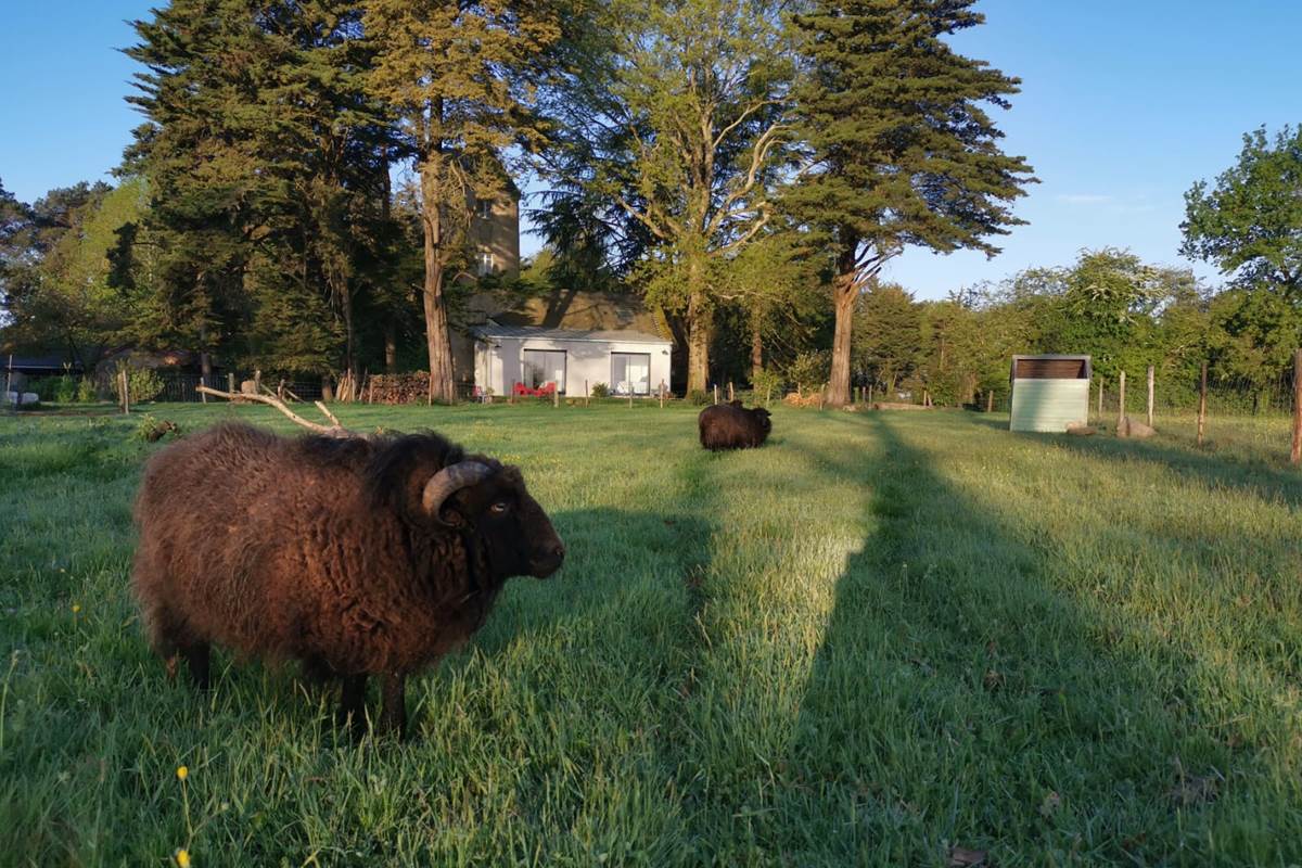 Vue lointaine des chambres d'hôtes du Moulin de la Retardière