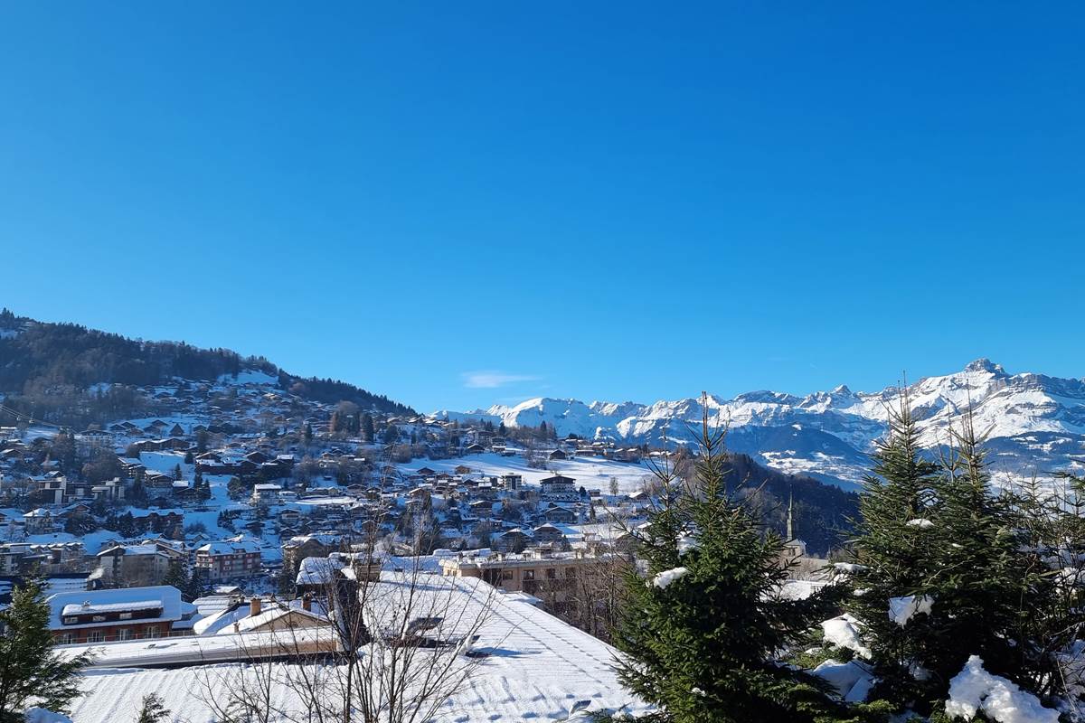 Vue depuis le chalet