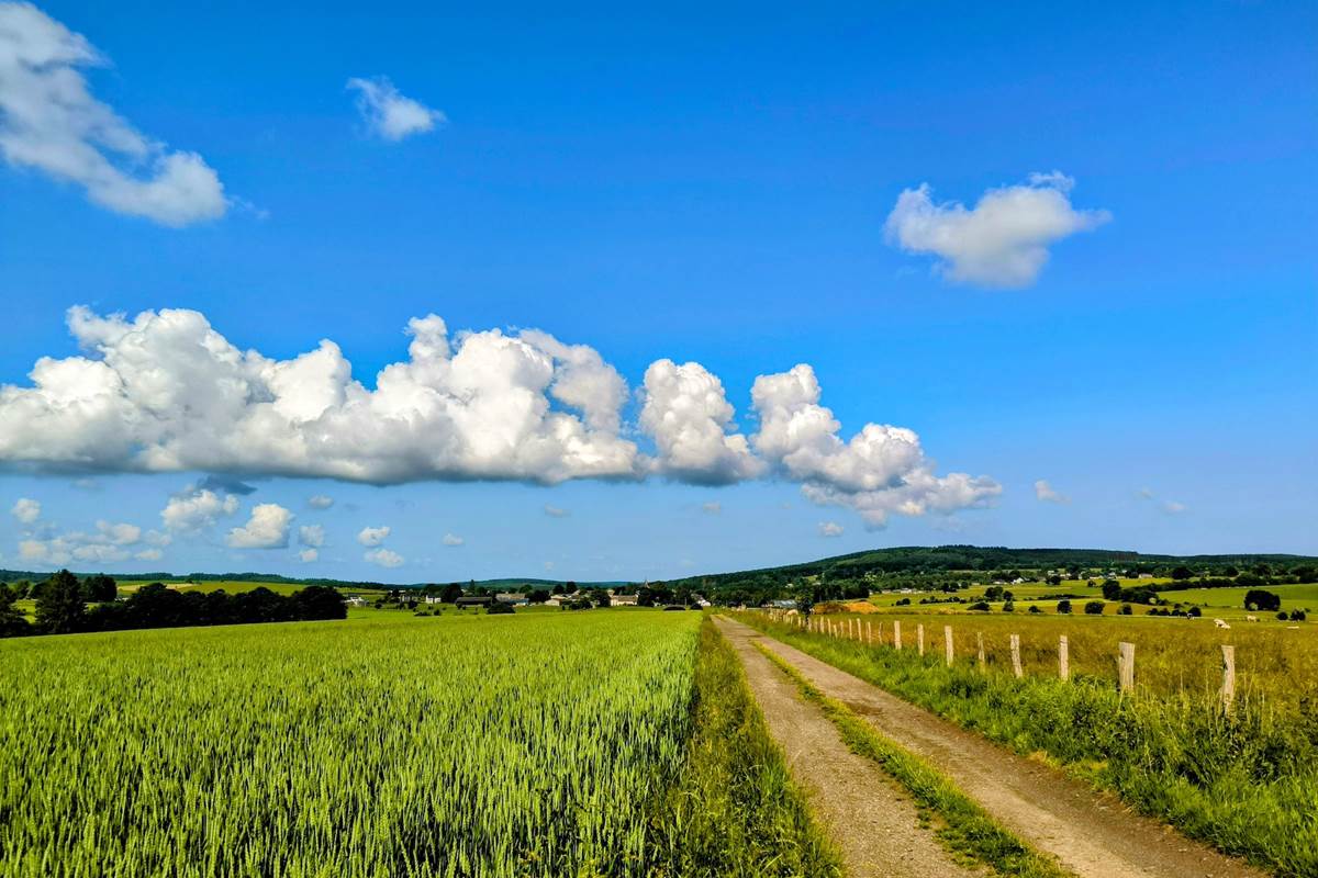 Paysage d'Ardenne