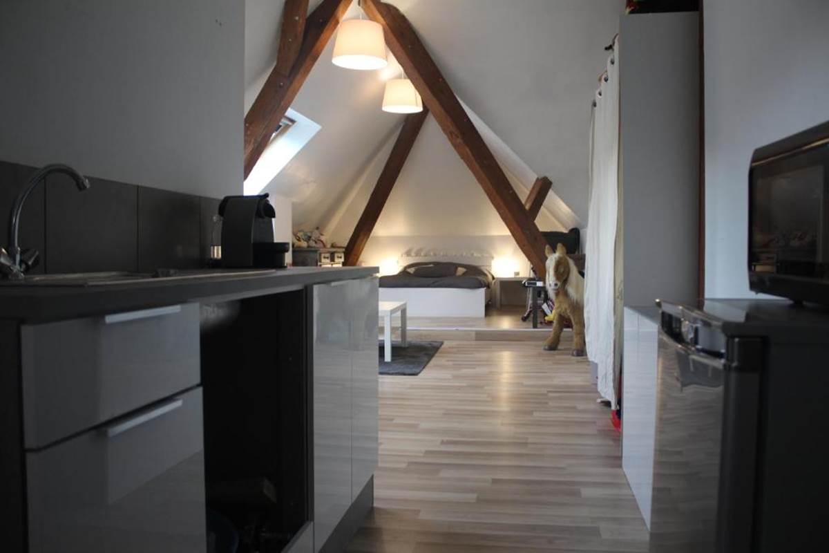 CHAMBRES-GUEBWILLER-Studio-4-Personnes-Cuisine