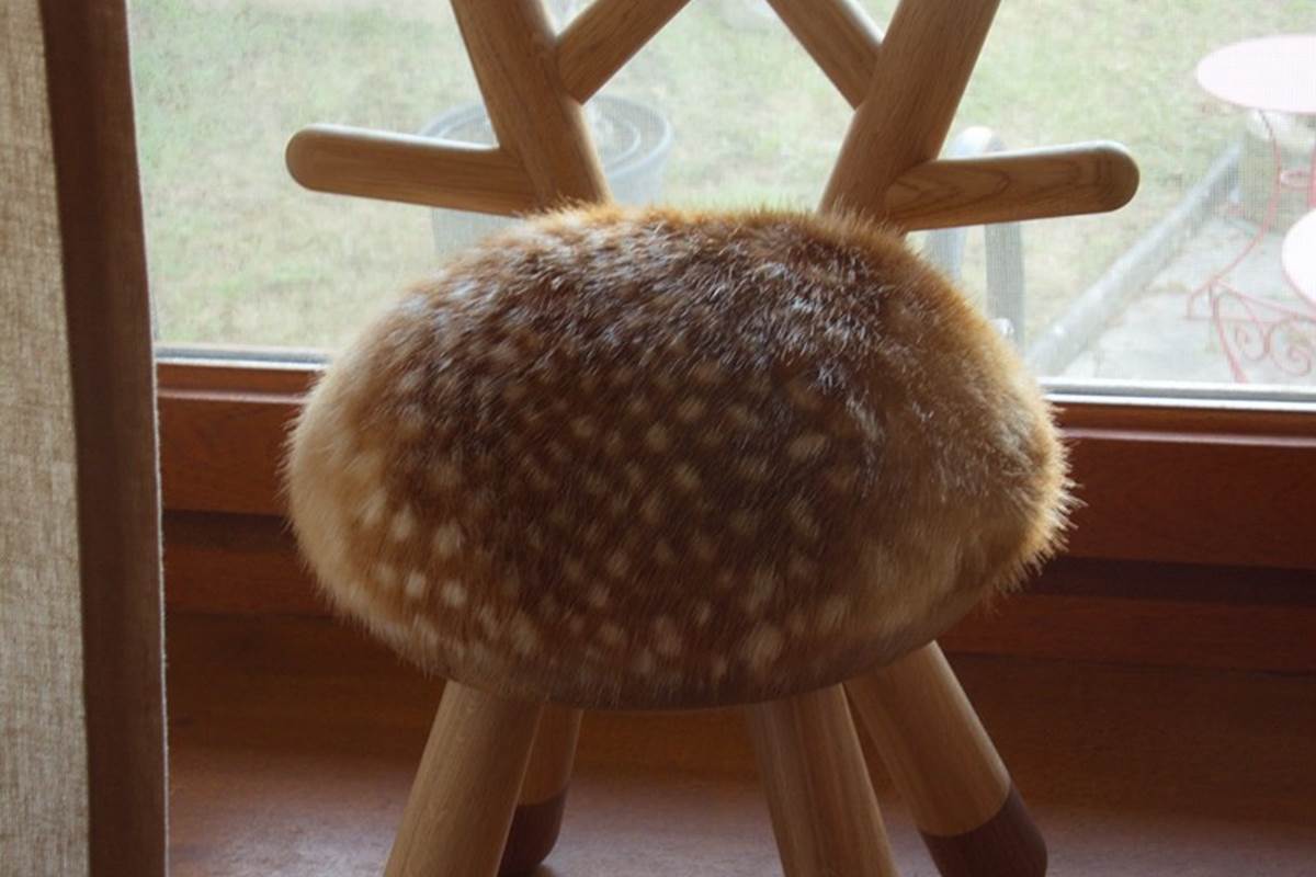 Bambi chair and terrace view
