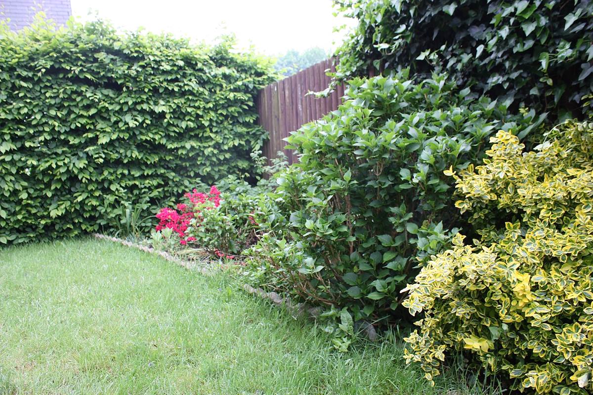 Jardin