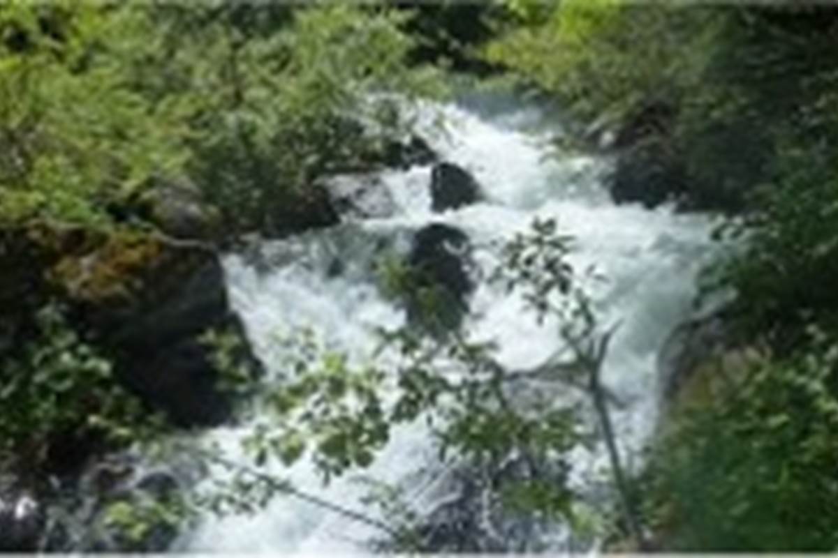 Image1