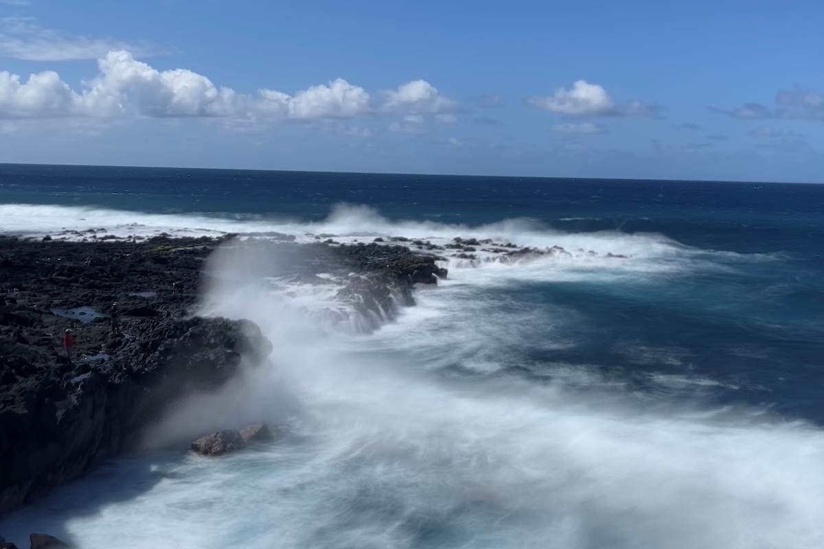 la-truite-a-langevin