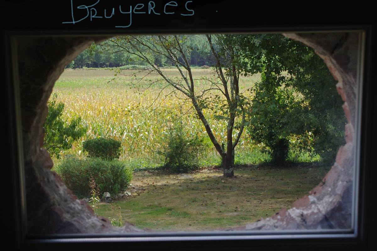 Vue sur les Pyrénées et la campagne de la 1ère chambre