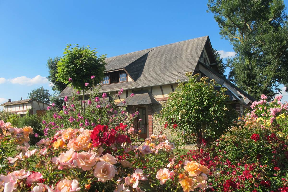 Decorosiers - Gîte du Petit Coq - aux3nidsfleuris