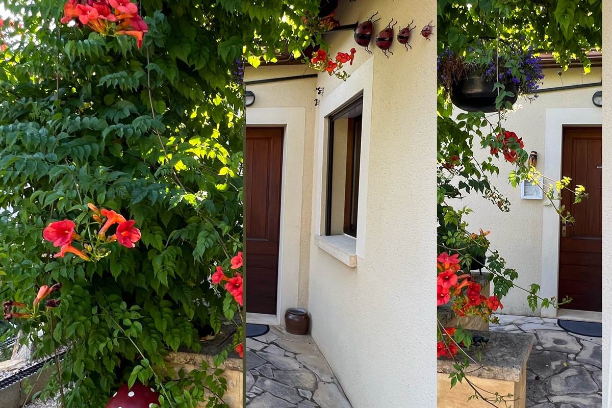 l'entrée de la maison