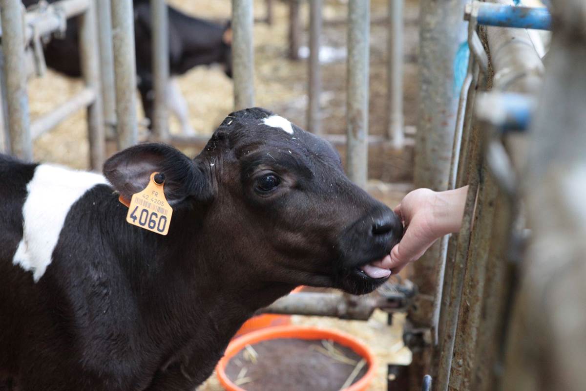 87163722_2607237946040539_842880511431933952_n