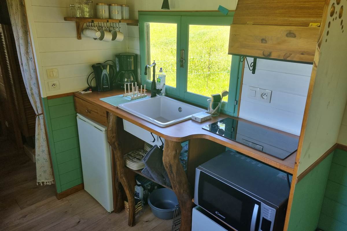 La kitchenette composée d'un réfrigérateur et son freezer, un four micro-onde et des plaques électriques.