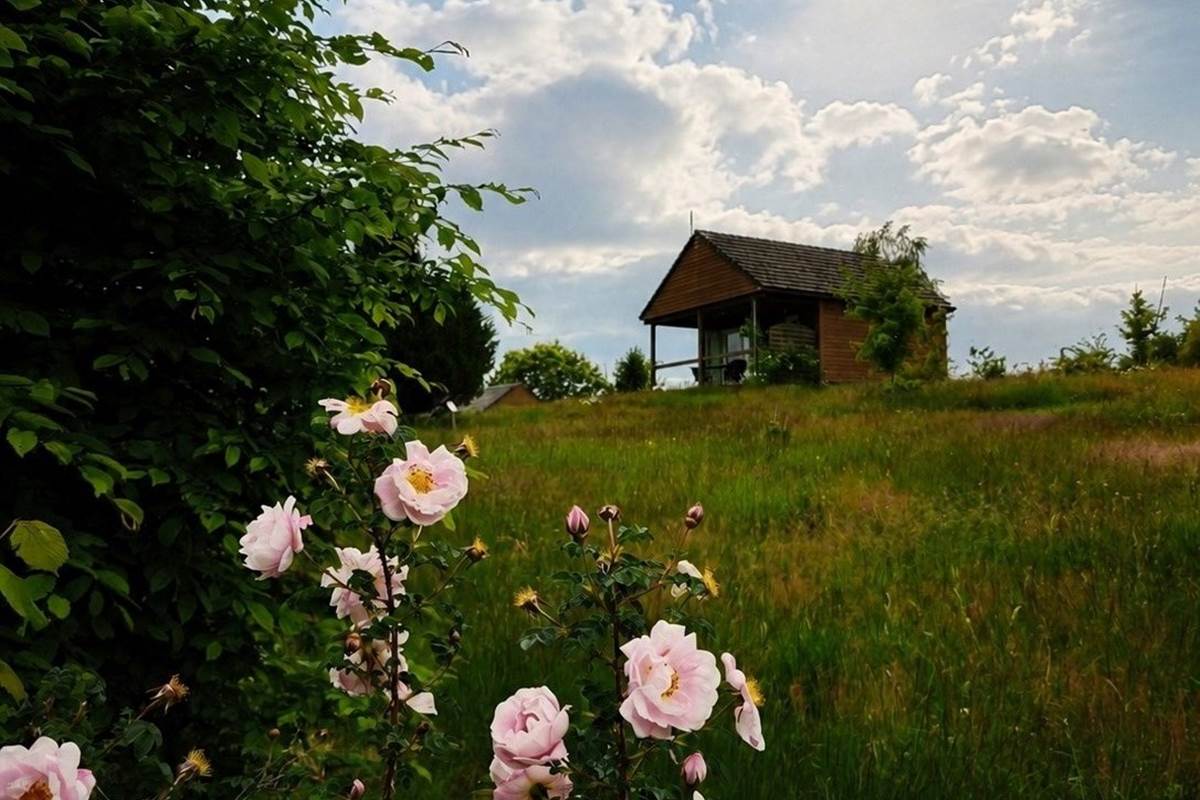 Chalet extérieur