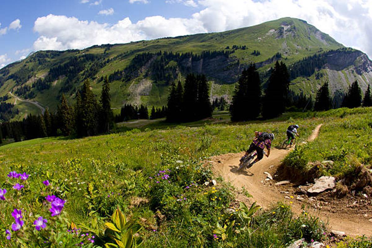 istockphoto-168580518-612x612